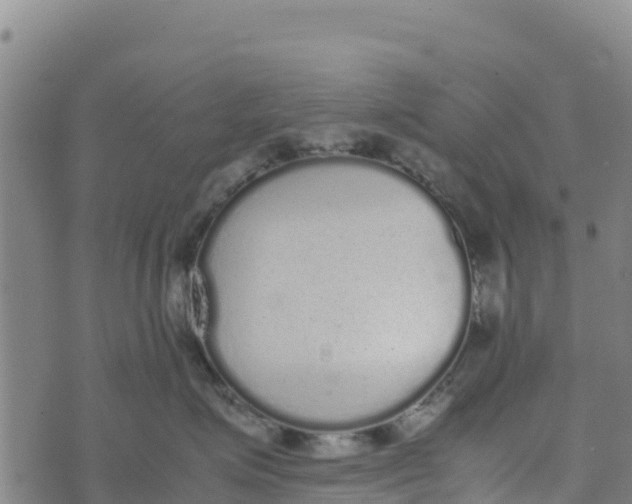 X0000072530623200608041558