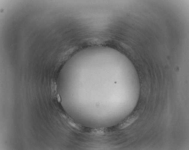 X0000072530624200608041558