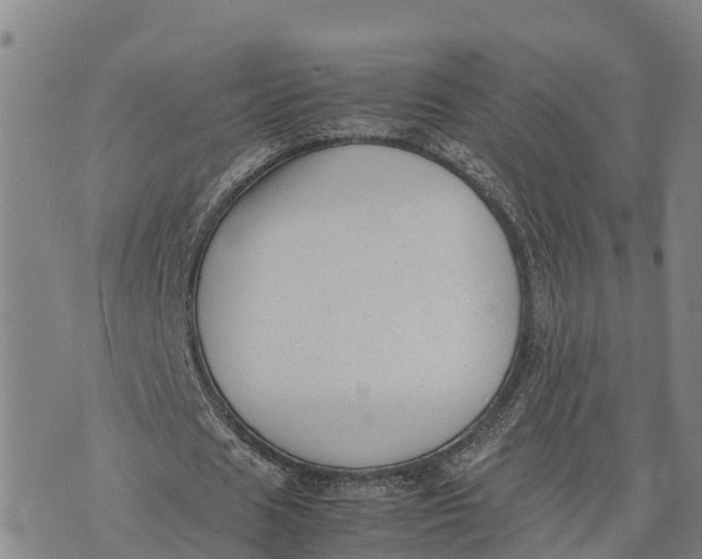 X0000072530625200608041558