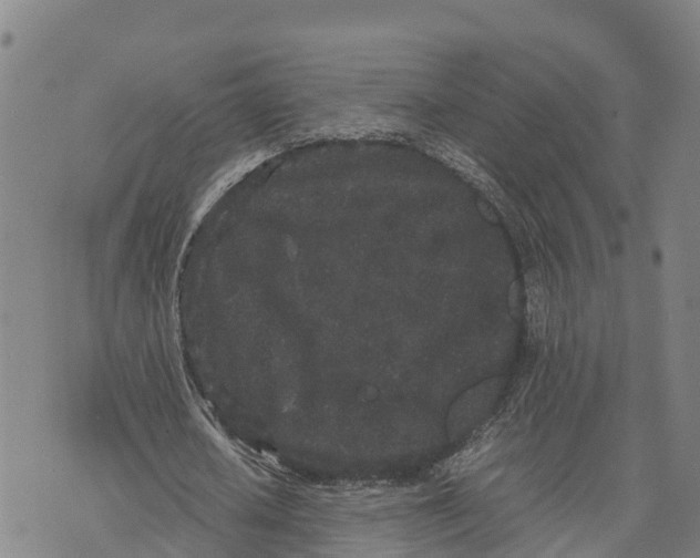 X0000072530626200608041558