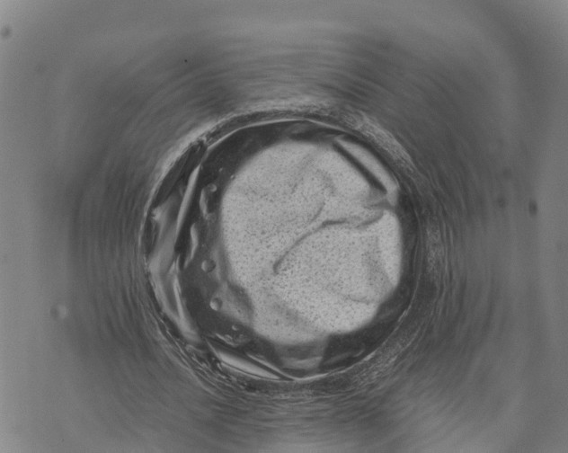 X0000072530628200608041558