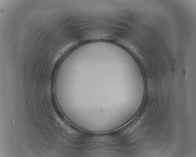 X0000072530629200608041558