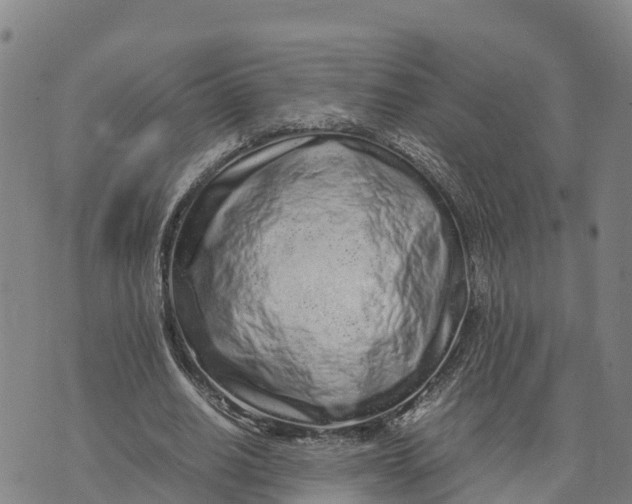 X0000072530630200608041558