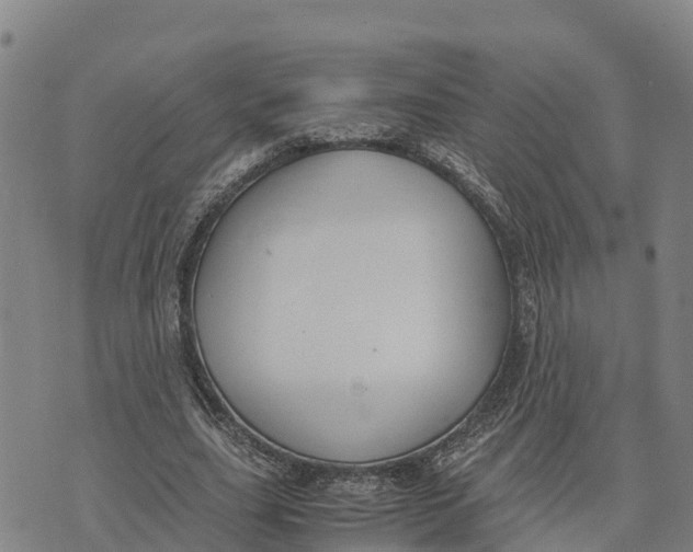 X0000072530631200608041558