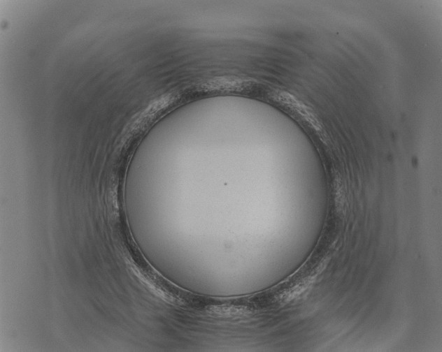 X0000072530633200608041558