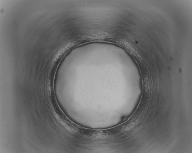 X0000072530634200608041558