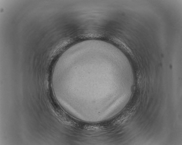 X0000072530635200608041558