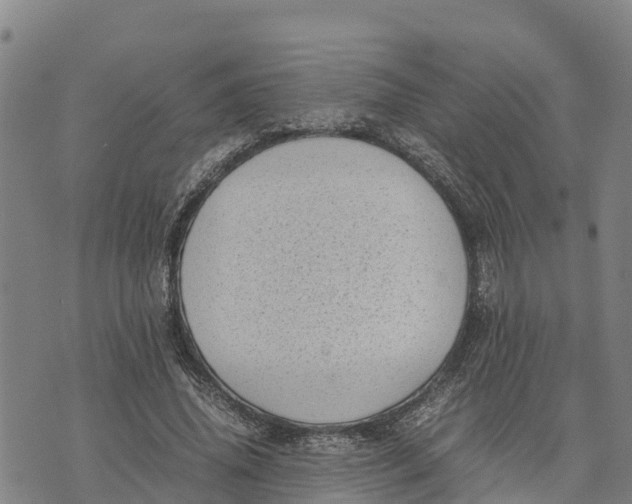 X0000072530636200608041558