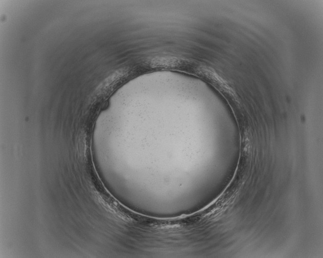 X0000072530637200608041558