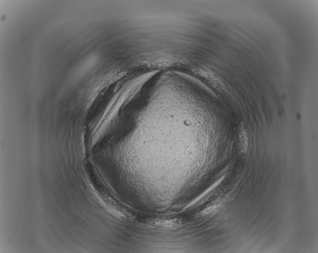 X0000072530638200608041558