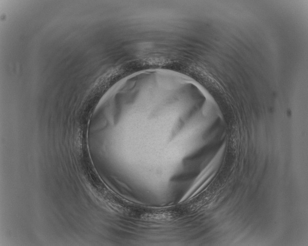 X0000072530639200608041558