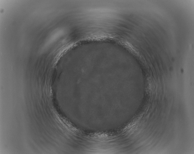 X0000072530640200608041558