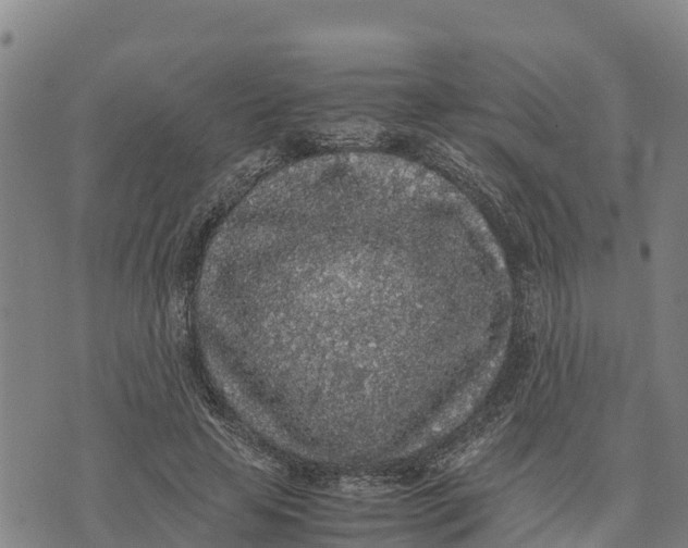 X0000072530641200608041558