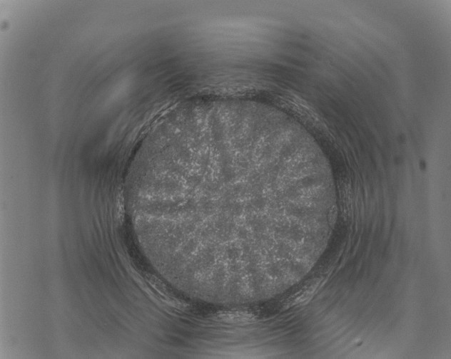 X0000072530644200608041558