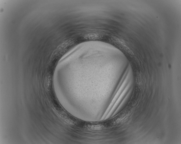 X0000072530645200608041558