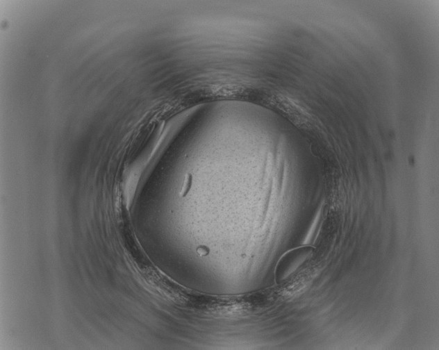 X0000072530646200608041558