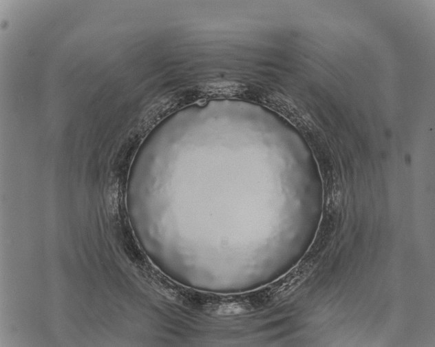 X0000072530647200608041558