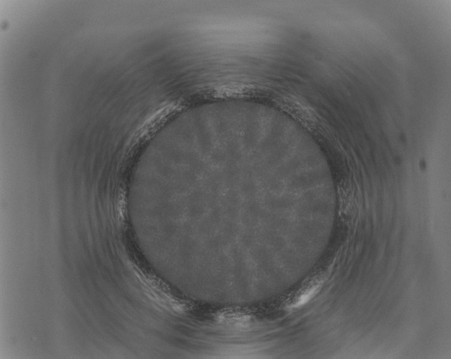 X0000072530648200608041558