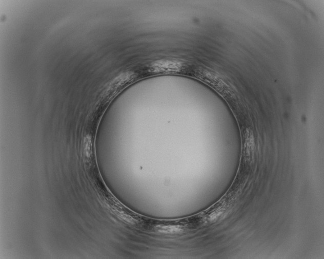 X0000072530649200608041558