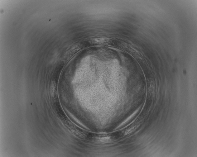 X0000072530651200608041558