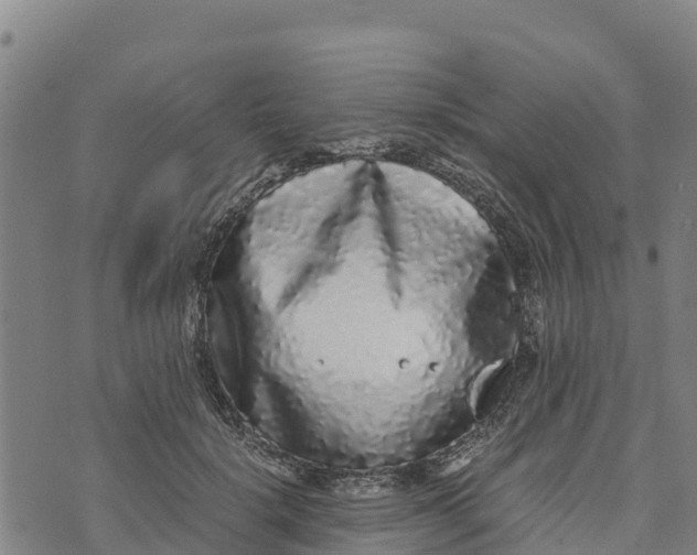 X0000072530652200608041558