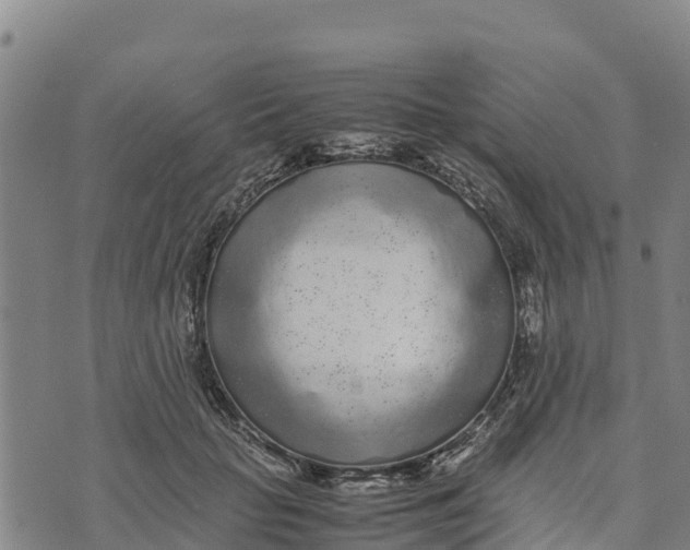 X0000072530653200608041558