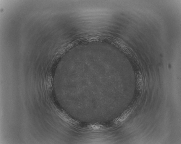 X0000072530654200608041558