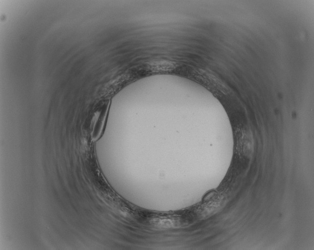 X0000072530655200608041558