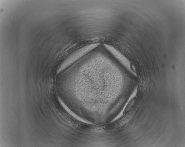 X0000072530656200608041558