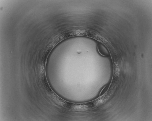 X0000072530657200608041558