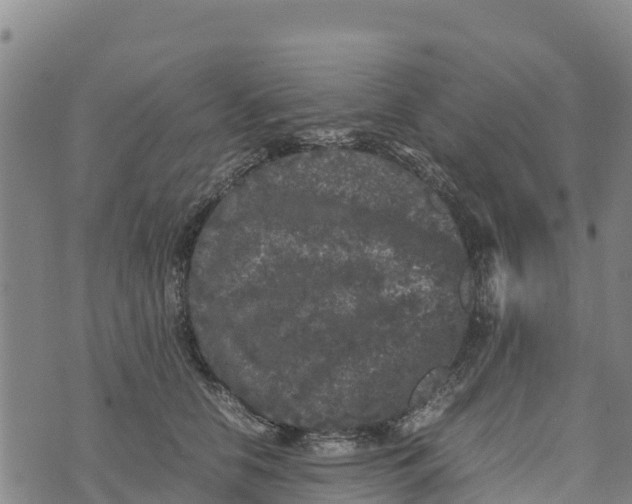 X0000072530658200608041558