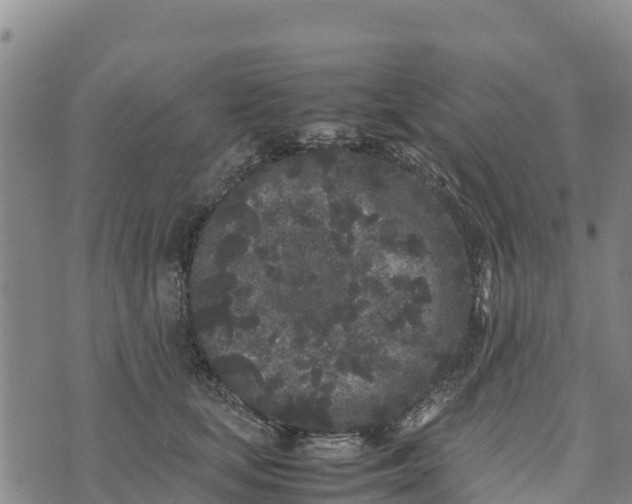 X0000072530659200608041558