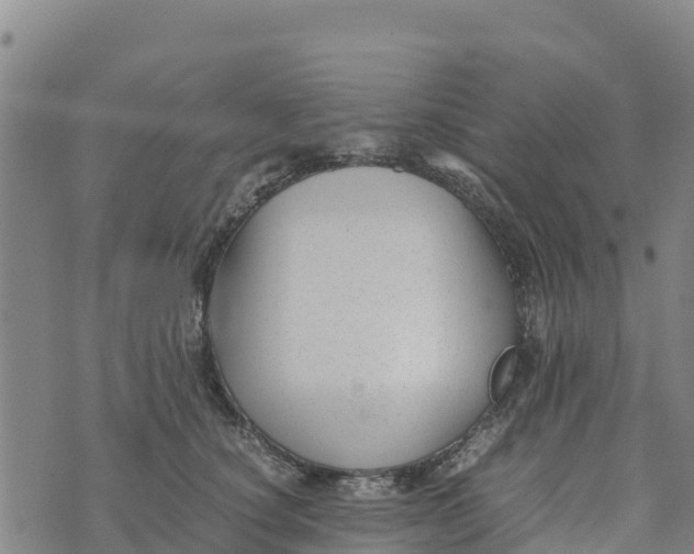 X0000072530660200608041558