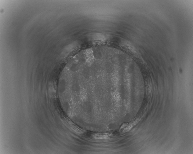 X0000072530661200608041558