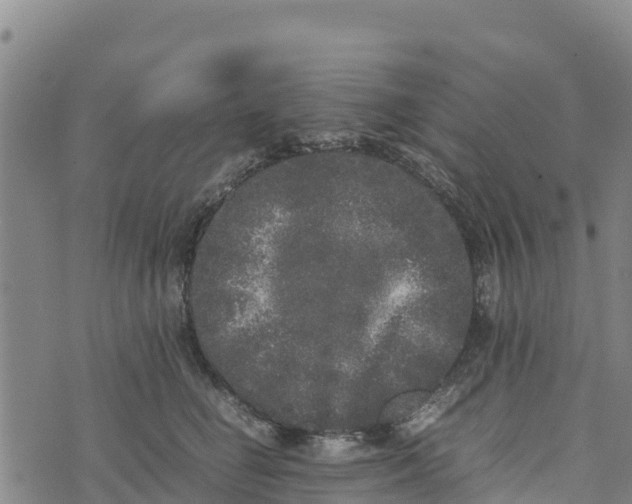 X0000072530662200608041558