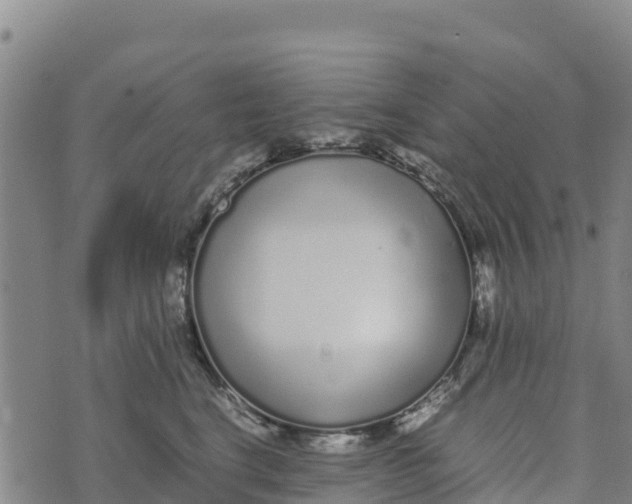 X0000072530664200608041558