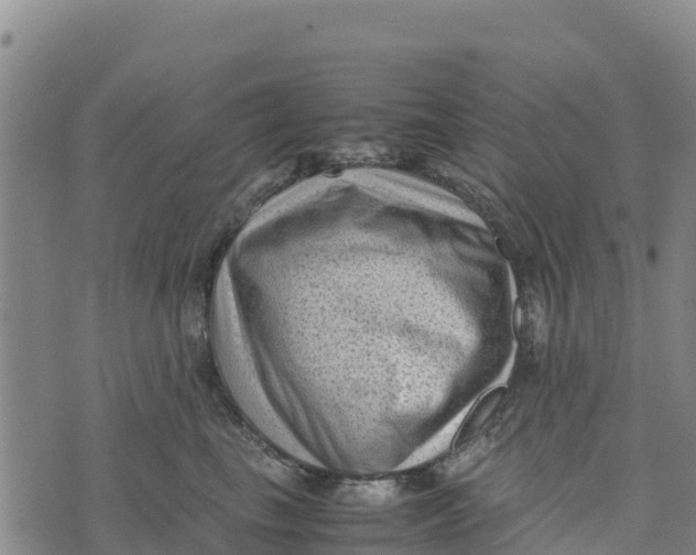 X0000072530665200608041558