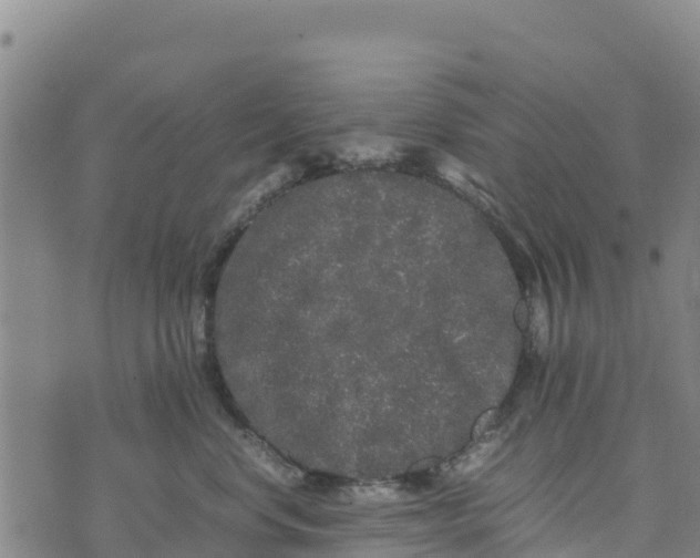 X0000072530668200608041558