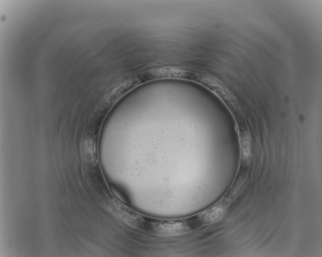 X0000072530669200608041558