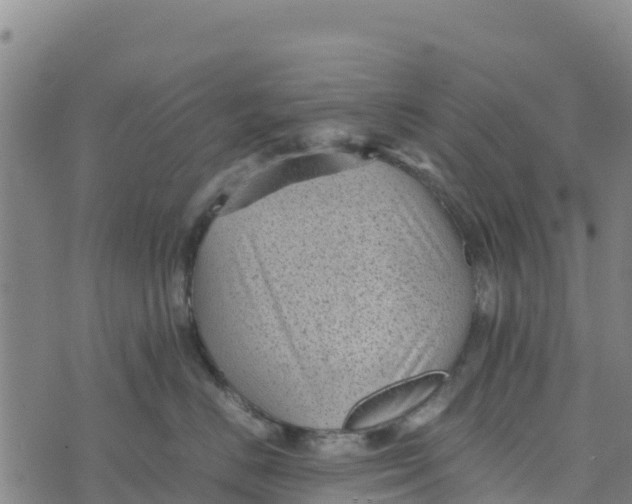 X0000072530670200608041558