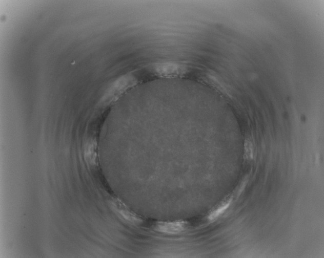 X0000072530671200608041558