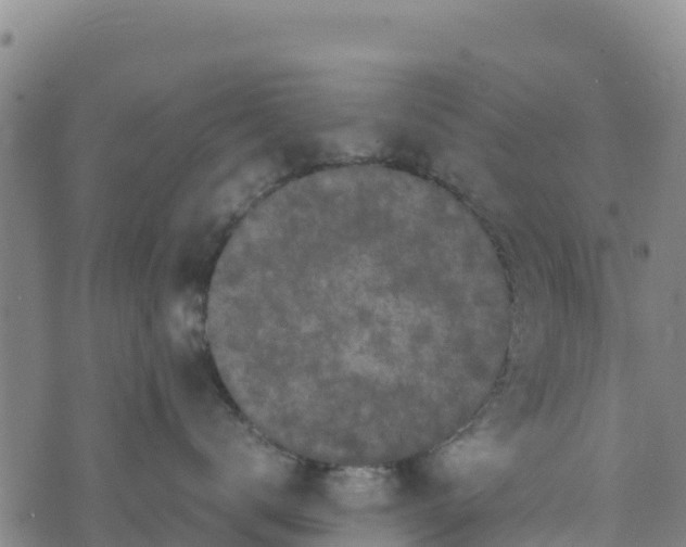 X0000072530672200608041558