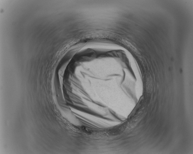 X0000072530673200608041558