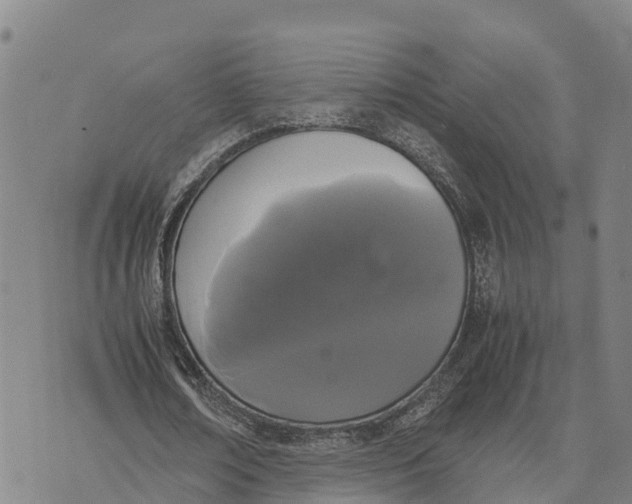 X0000072530674200608041558