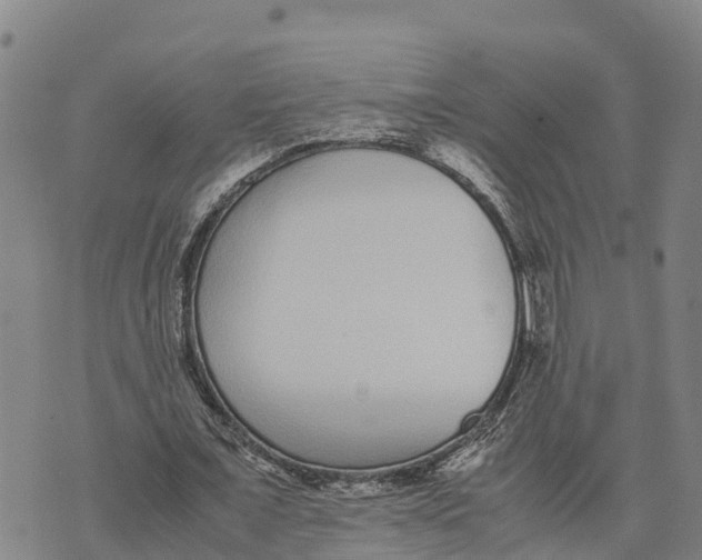 X0000072530675200608041558