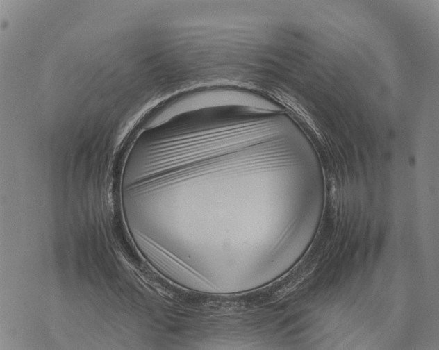 X0000072530676200608041558