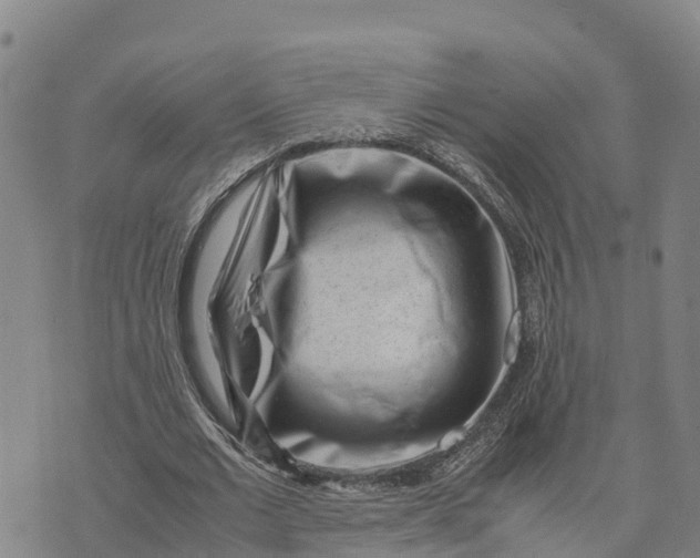 X0000072530677200608041558