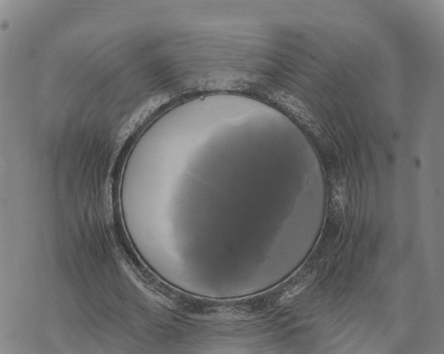 X0000072530678200608041558