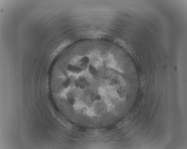 X0000072530679200608041558