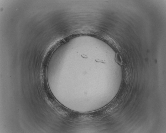 X0000072530680200608041558